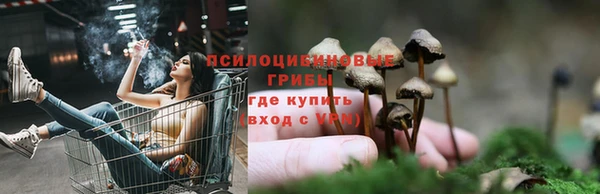 соль курить ск Чекалин