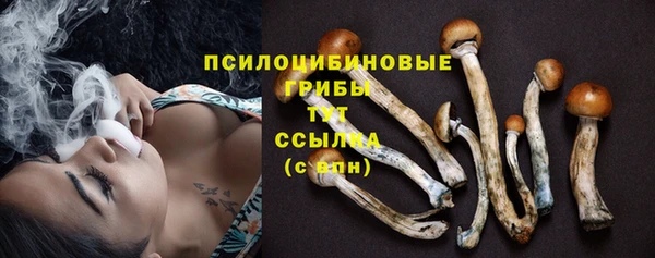 соль курить ск Чекалин