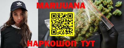 гидропоника Будённовск