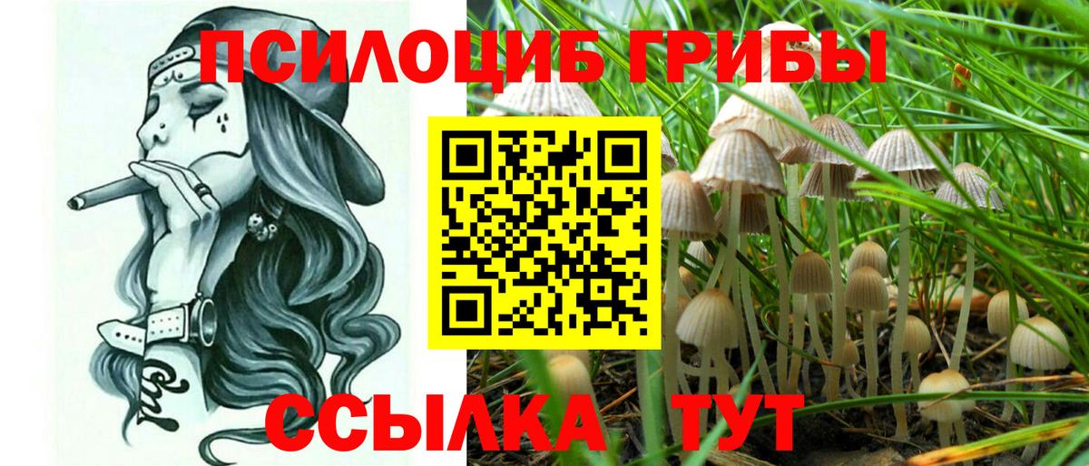 Псилоцибиновые грибы MAGIC MUSHROOMS  Пятигорск 