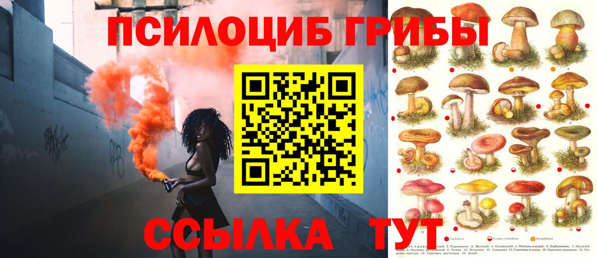 Псилоцибиновые грибы Magic Shrooms Пятигорск