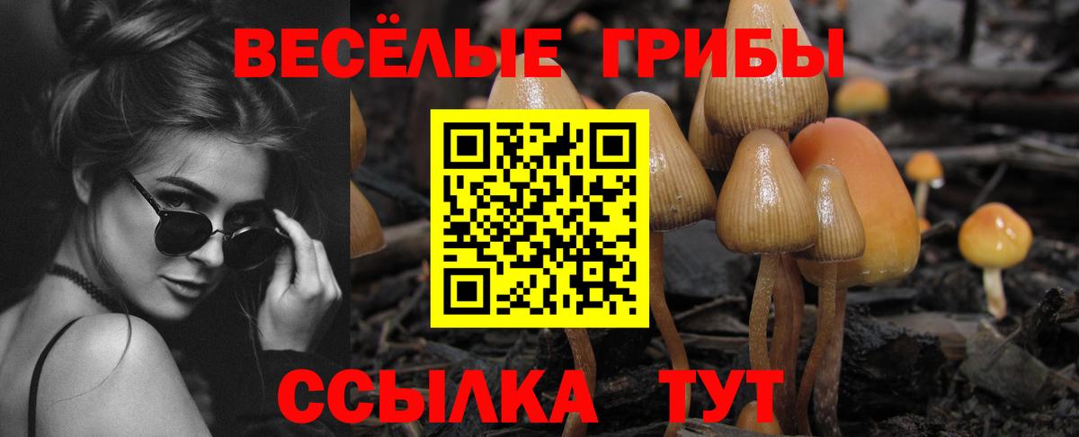 Пятигорск  Галлюциногенные грибы ЛСД  Вход с VPN 